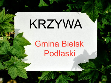 Działka rolna Krzywa