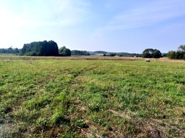 Działka budowlana Czarna Wieś Kościelna