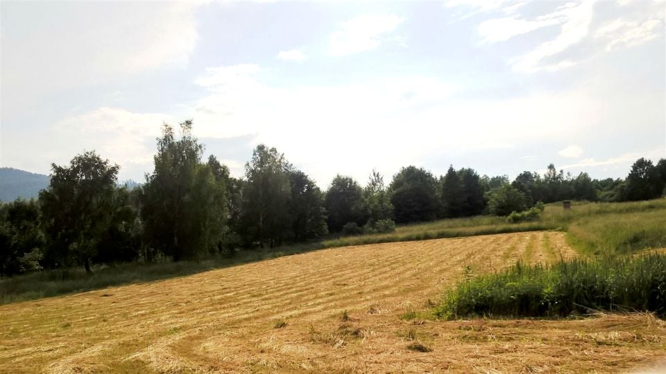 Zdjęcie 2