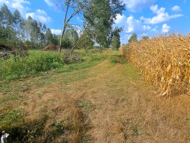 Działka budowlana Brończany