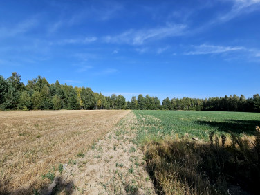 Działka budowlana sprzedam