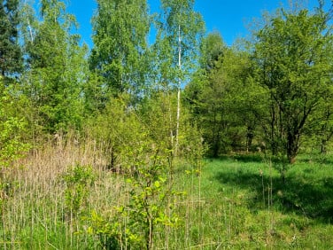 Działka budowlana sprzedam