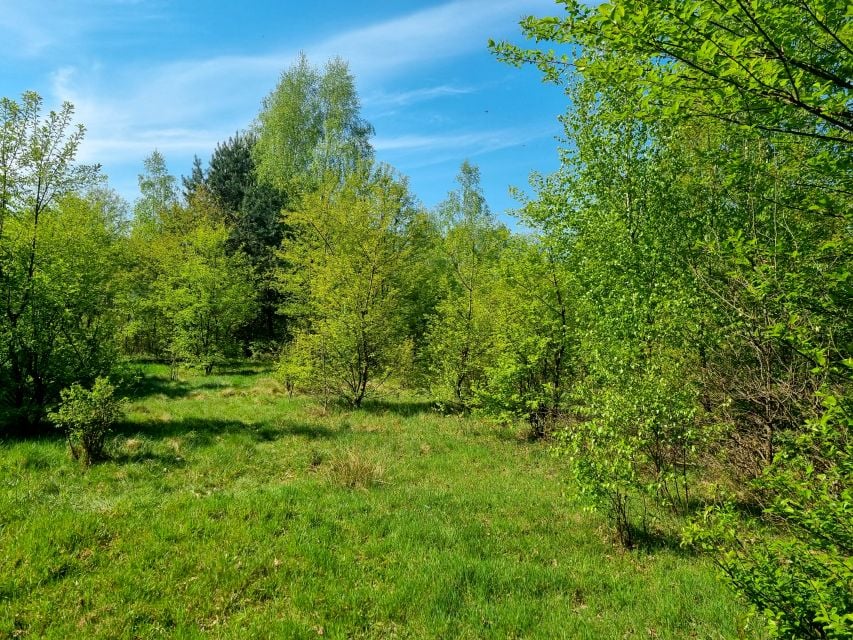 Działka budowlana Pęclin