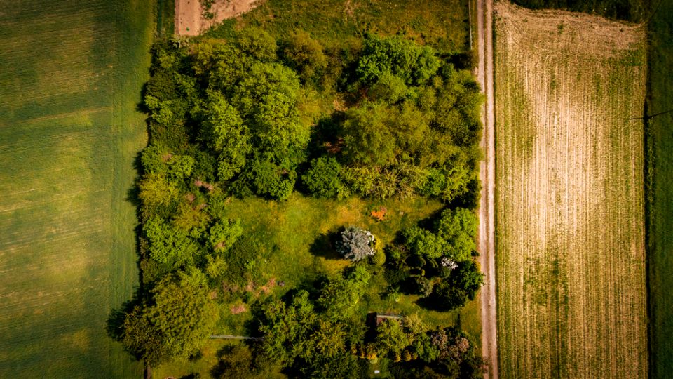 Działka budowlana Poddębice