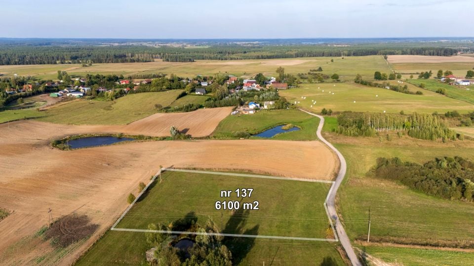 Zdjęcie 3