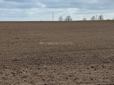 Działka Brzeźno