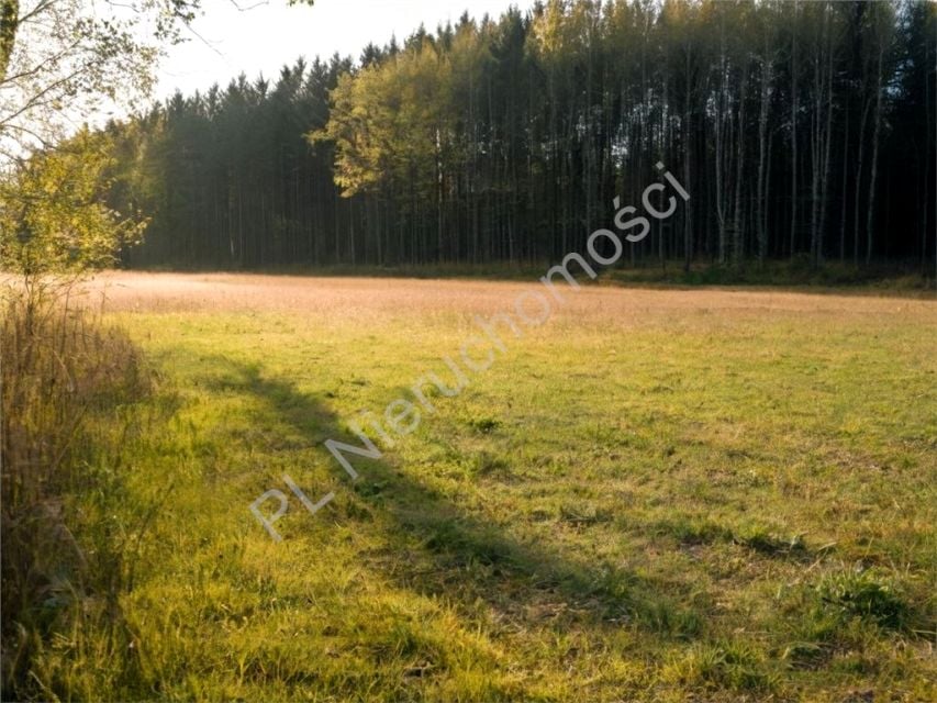 Działka budowlana Zalesie