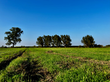 Działka rolna Skowarcz