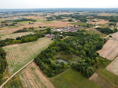 Lokal Konstantynów sprzedaż