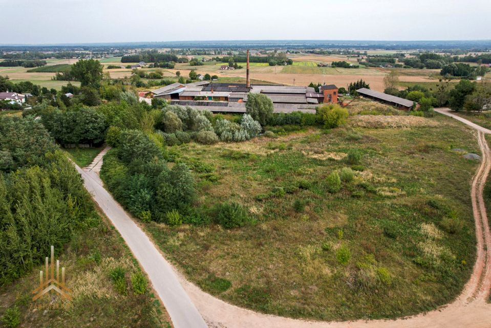 Zdjęcie 3