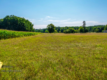 Działka Kaznów-Kolonia