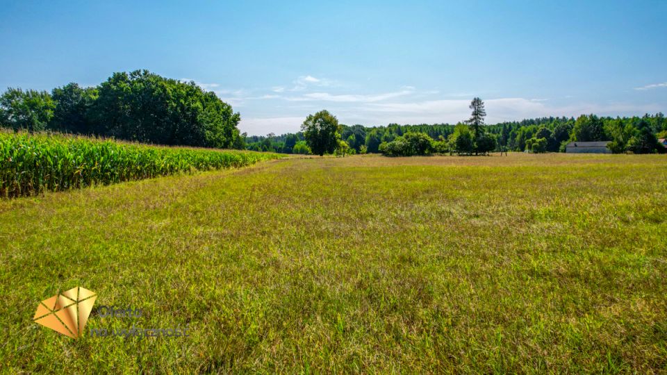 Działka Kaznów-Kolonia