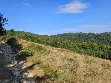 Działka rolna Ochotnica Dolna