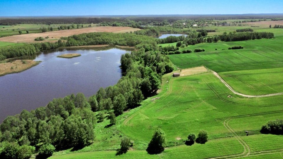 Działka budowlana Dziki