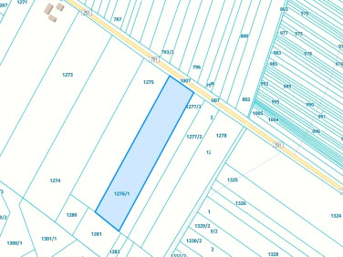 Działka rolna Leśna-Stara Wieś