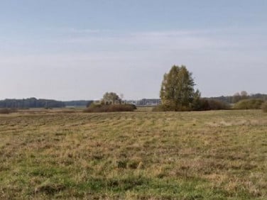 Działka nad morzem