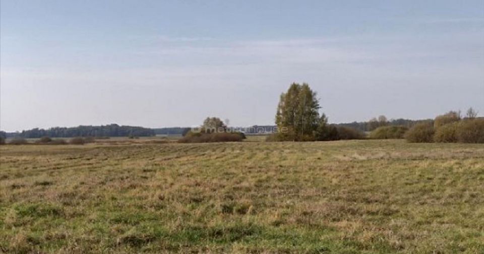 Działka nad morzem