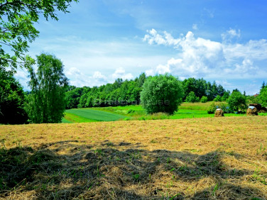 Działka budowlana Wysoka