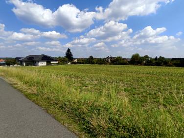 Działka inna Mikołów sprzedam