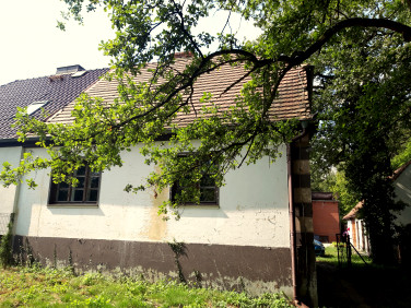 Dom Turawa sprzedaż