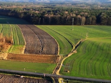 Działka rolna Sierakowice