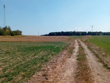 Działka rolna Sierakowice sprzedam