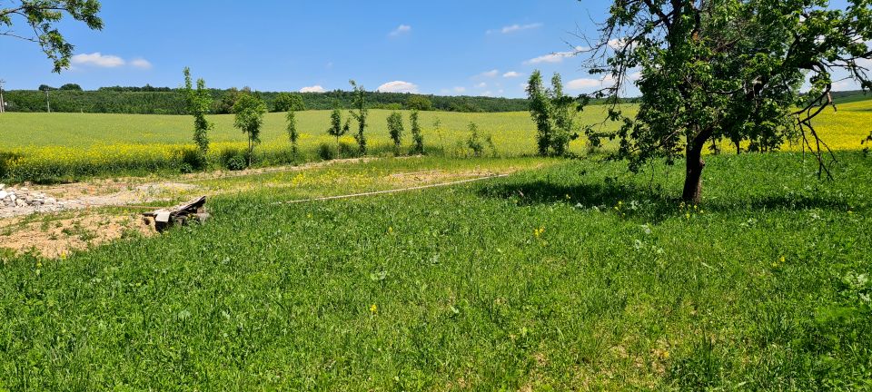 Działka budowlana Klonów