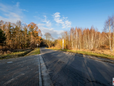 Działka Grodowiec