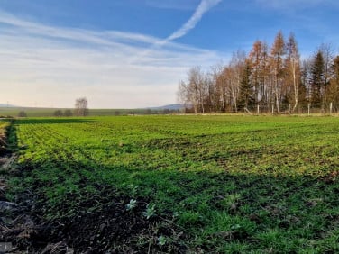 Działka budowlana Brzezinka