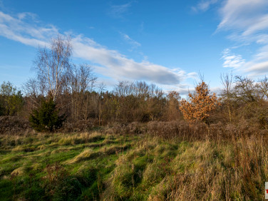 Działka budowlana Grodowiec