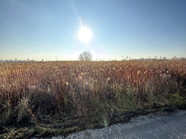 Działka budowlana Borzęcin Duży