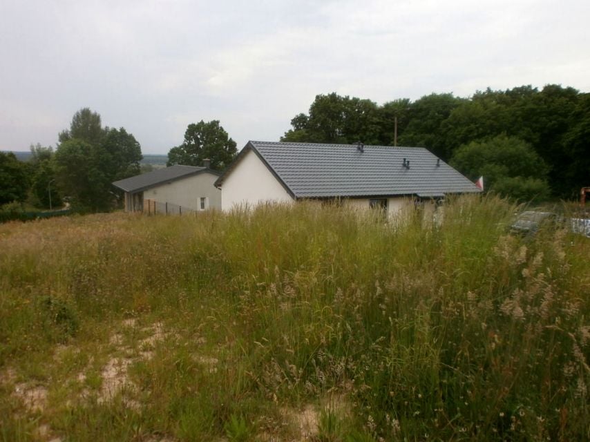 Zdjęcie 2