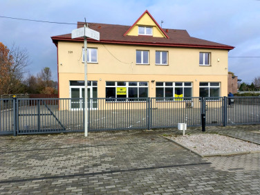 Lokal Aleksandrów Łódzki