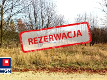 Działka Skrajnica