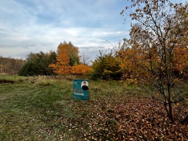 Działka Aleksandrów Łódzki