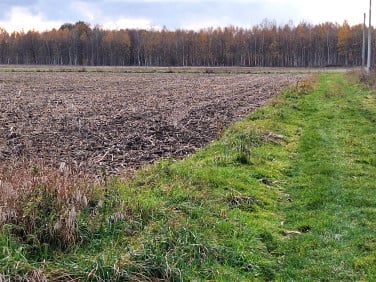 Działka budowlana Rudno sprzedam