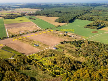 Działka rolna Ząbrowo sprzedam