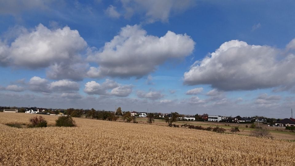 Działka Wojciechówka
