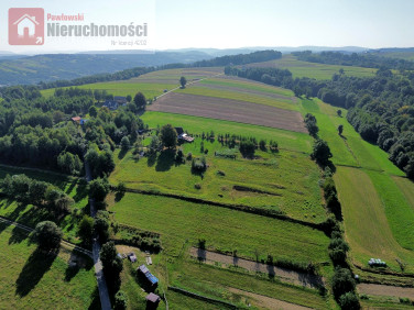 Działka przy lesie