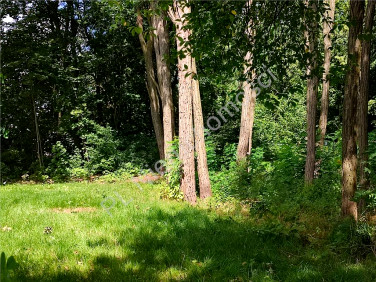 Działka budowlana Podkowa Leśna sprzedam