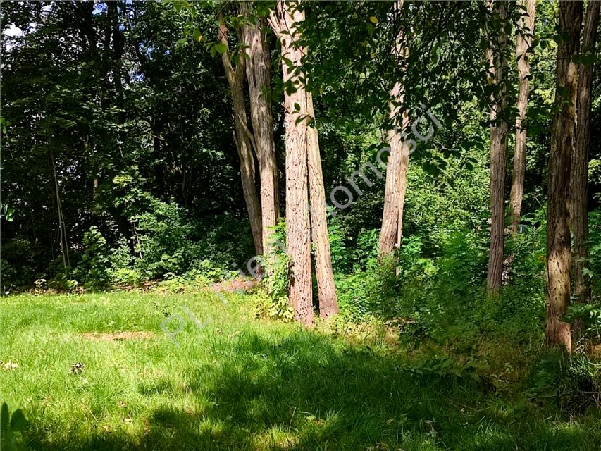 Działka budowlana Podkowa Leśna sprzedam