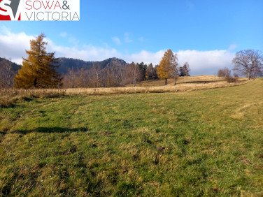 Działka budowlana Jedlina-Zdrój