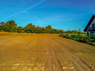 Działka inna Zemborzyce Dolne