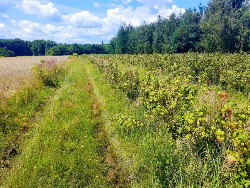 Działka budowlano-rolna Głowaczów warecka