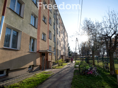 Mieszkanie Opole Lubelskie