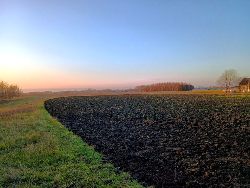 Działka inna Dębina