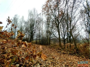 Działka budowlana Mikołów sprzedam