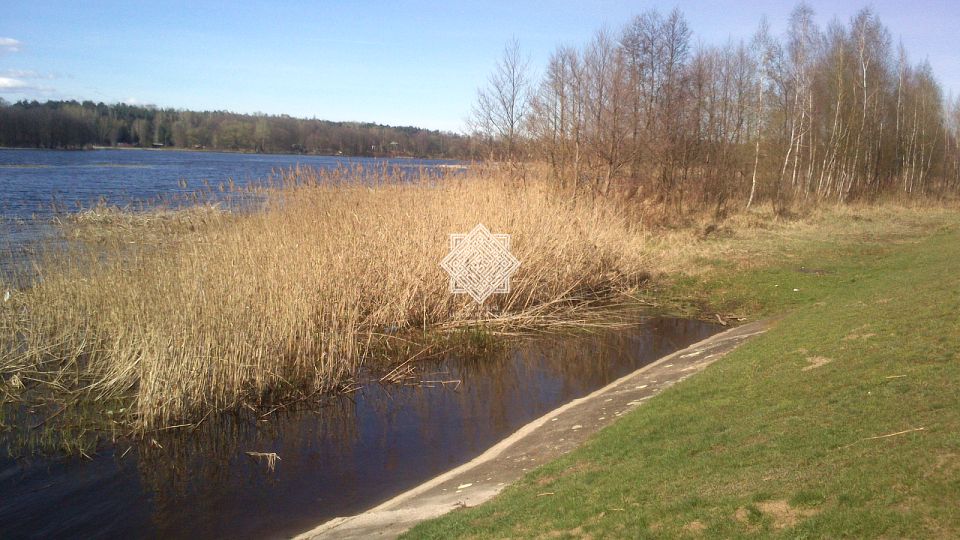 Działka siedliskowa Dzierżenin