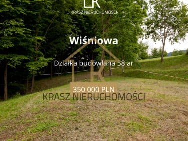 Działka Wiśniowa