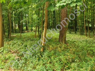 Działka Milanówek